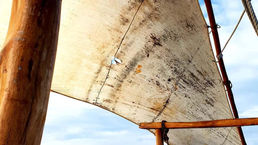 From Nungwi : Mnemba Boat Trip and Dolphin Snorkel Adventure - Key points before you book