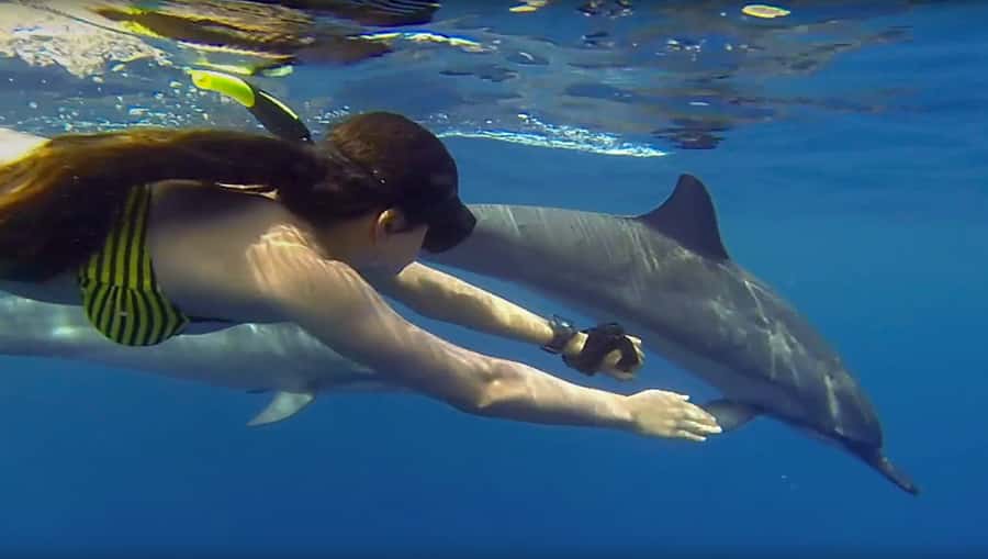 From Nungwi : Mnemba Boat Trip and Dolphin Snorkel Adventure - The dolphin search near Nungwi