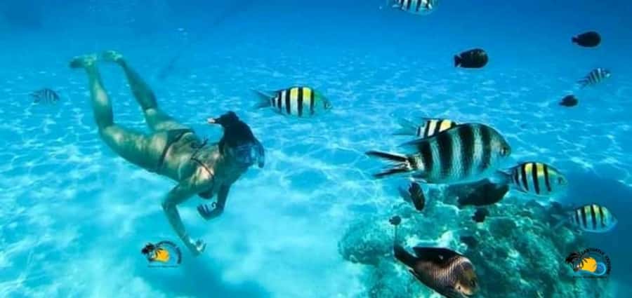 From Nungwi: Mnemba Island Dolphin Watching and Snorkeling - Leaving Nungwi for the open water