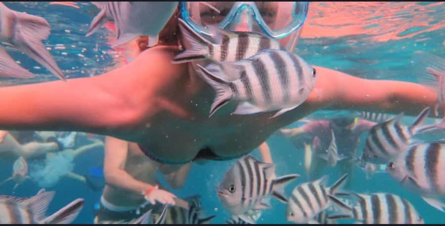 FROM NUNGWI; MNEMBA SNORKELING AND DOLPHIN TOUR - Key Points Before You Book