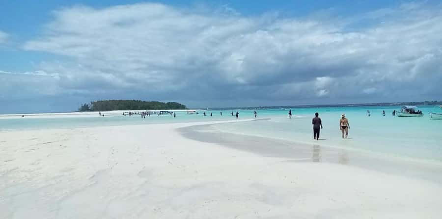 FROM NUNGWI; MNEMBA SNORKELING AND DOLPHIN TOUR - Who Will Enjoy This Mnemba Trip Most?
