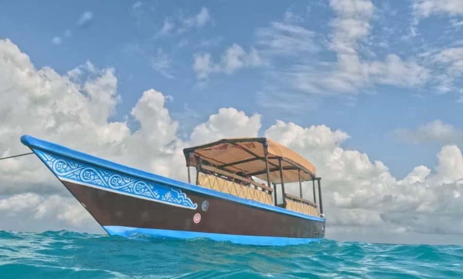 FROM NUNGWI; MNEMBA SNORKELING AND DOLPHIN TOUR - What the $45 Price Really Covers