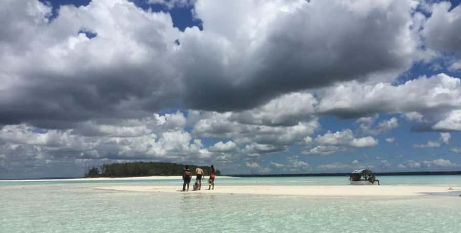 FROM NUNGWI; MNEMBA SNORKELING AND DOLPHIN TOUR - Transport, Guides, and Language Choices
