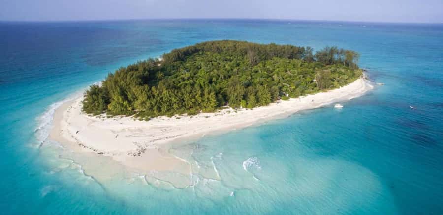 FROM NUNGWI; MNEMBA SNORKELING AND DOLPHIN TOUR - What to Bring for a Better Day