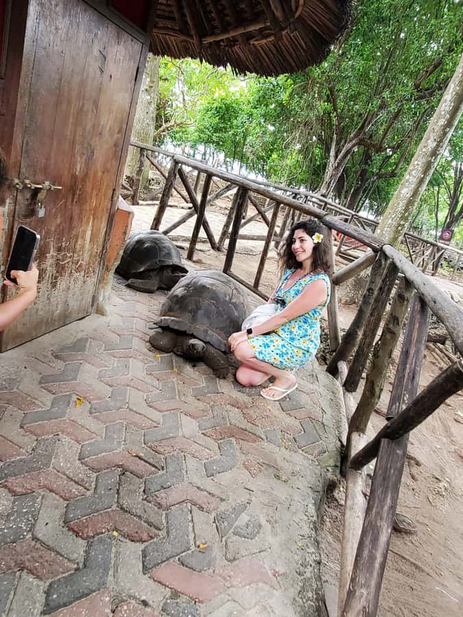 From Nungwi: Prison Island & Nakupenda Sandbank Escape - What the $91 price really covers