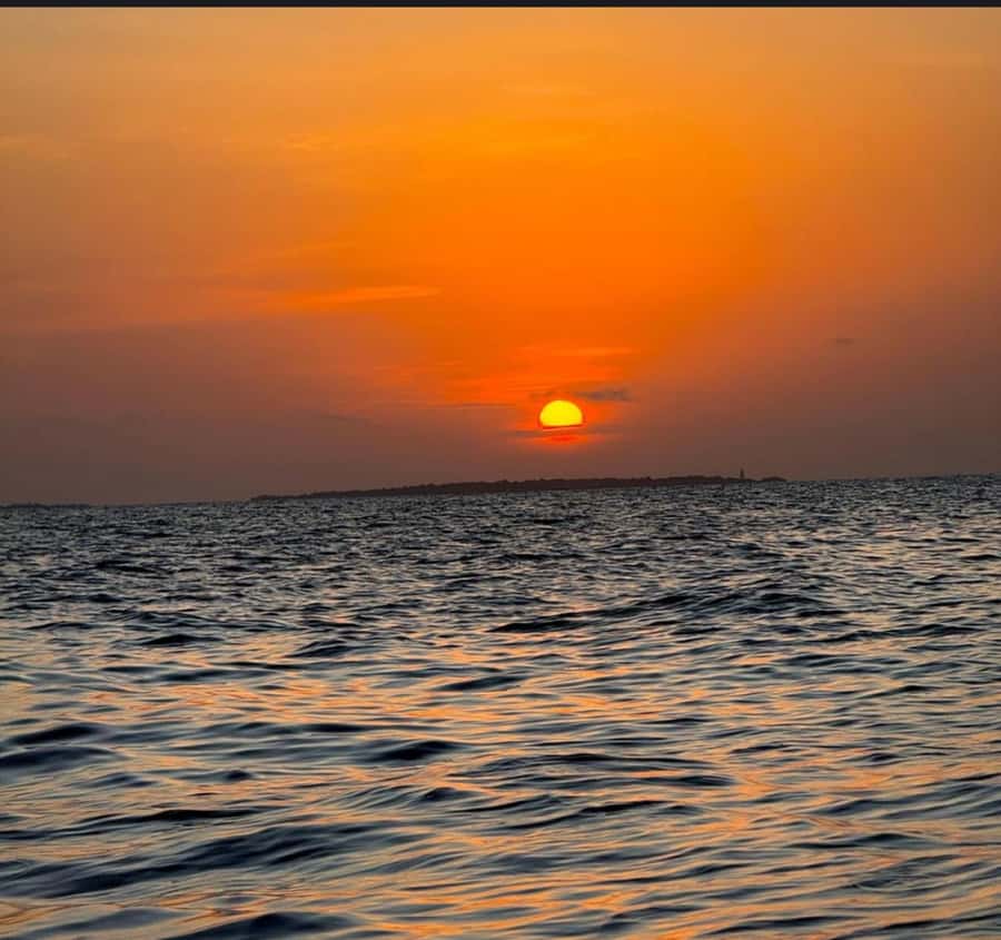 FROM NUNGWI; SUNSET DHOW CRUISE EXPERIENCE - Language, booking, and cancellation details