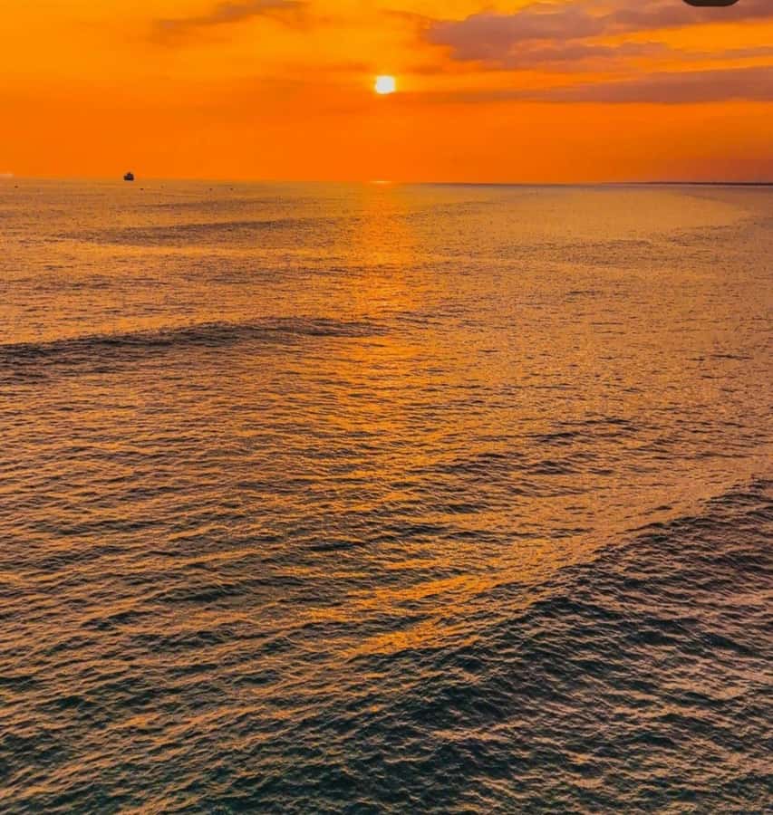 From Nungwi: Sunset Dhow Cruises - Setting out from Nungwi for a Zanzibar sunset