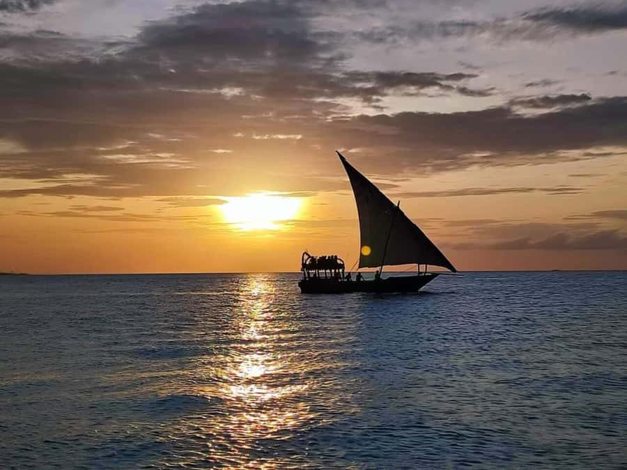From Nungwi: Sunset Dhow Cruises - Who will enjoy this cruise most