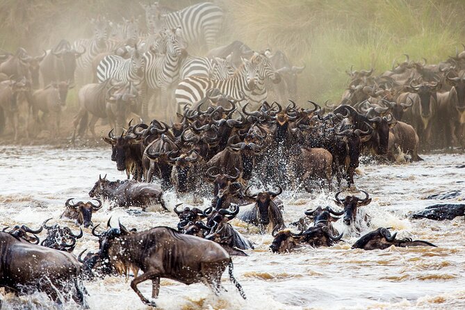 From Plains to Crater: 3-Day Midrange Safari in Northern Tanzania - Key points to know before booking