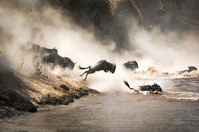 From Plains to Crater: 3-Day Midrange Safari in Northern Tanzania - Guides, group size, and the human side