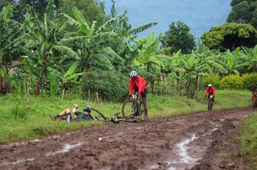 From Stone town: Bicycle Spice Tour with Swahili Lunch - Key Points To Know Before You Book