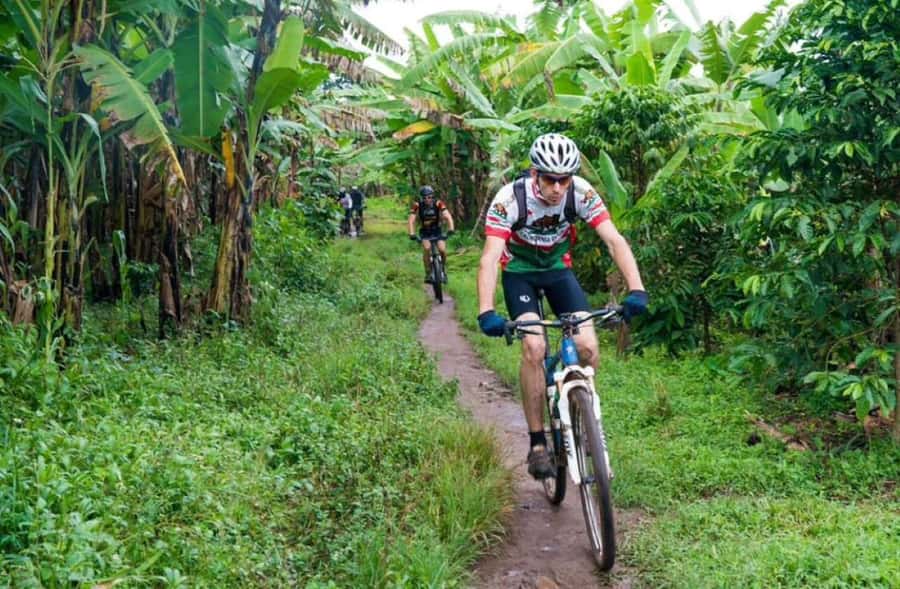 From Stone town: Bicycle Spice Tour with Swahili Lunch - Masingini Forest and Zanzibar’s Highest Point
