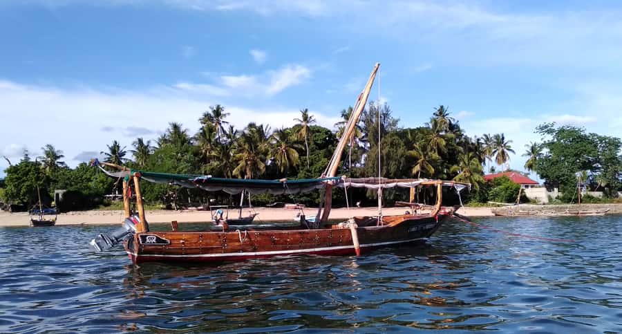 From Stone Town: Sandbank picnic with sea food BBQ Lunch - Seafood barbecue on Quail Island