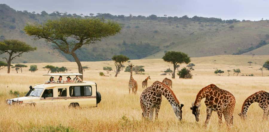 From Zanzibar: 2-Day Serengeti Safari with Flights - Is two days enough for the Serengeti?