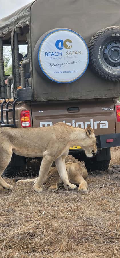 From Zanzibar: 2 Days 1 Night Selous GR Safari with Flights - Key Things to Know Before You Book