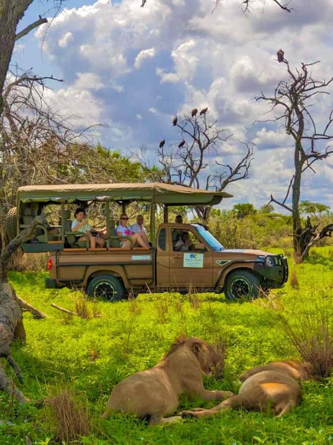 From Zanzibar: 2 Days 1 Night Selous GR Safari with Flights - Bush Lunch With the Animals Nearby