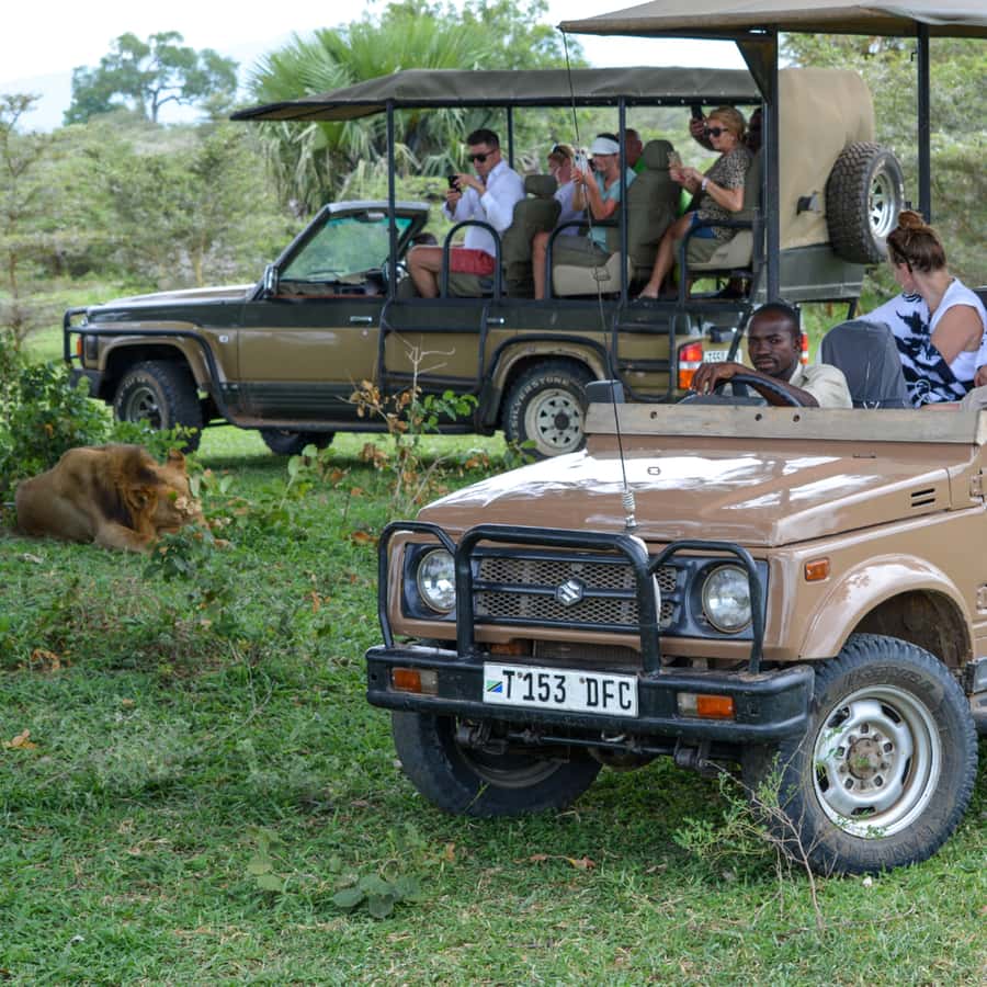 From Zanzibar: 2 Days 1 Night Selous GR Safari with Flights - The Early Transfer From Zanzibar