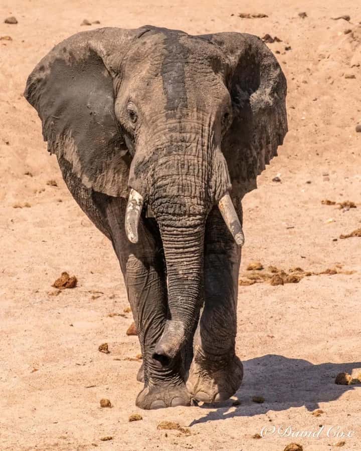 From Zanzibar:2 Nights& 1 day MIKUMI NATIONAL PARK (3 DAYS ) - Practical advice before you reserve