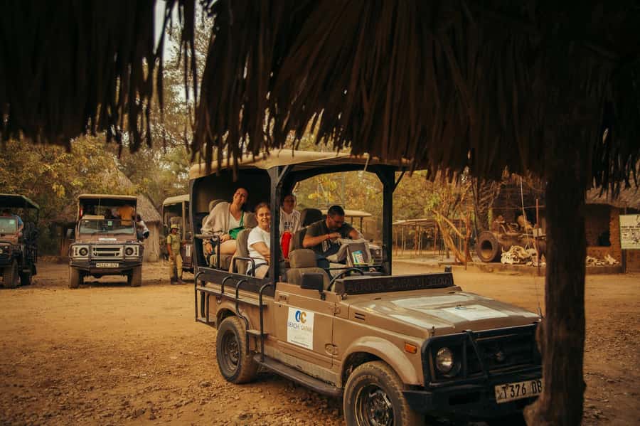 From Zanzibar: 3-Day Selous Safari Trip with Flights - Second day: a bush walk, then the Rufiji River