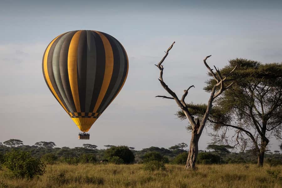 From Zanzibar:3-Day World-Famous Serengeti Safari and Flight - Who should book this Serengeti trip?