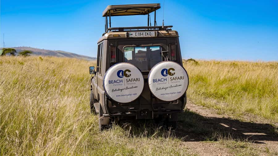 From Zanzibar: 4 Days Northern Circuit Safari Tour adventure - Day 3: A full day inside Ngorongoro Crater