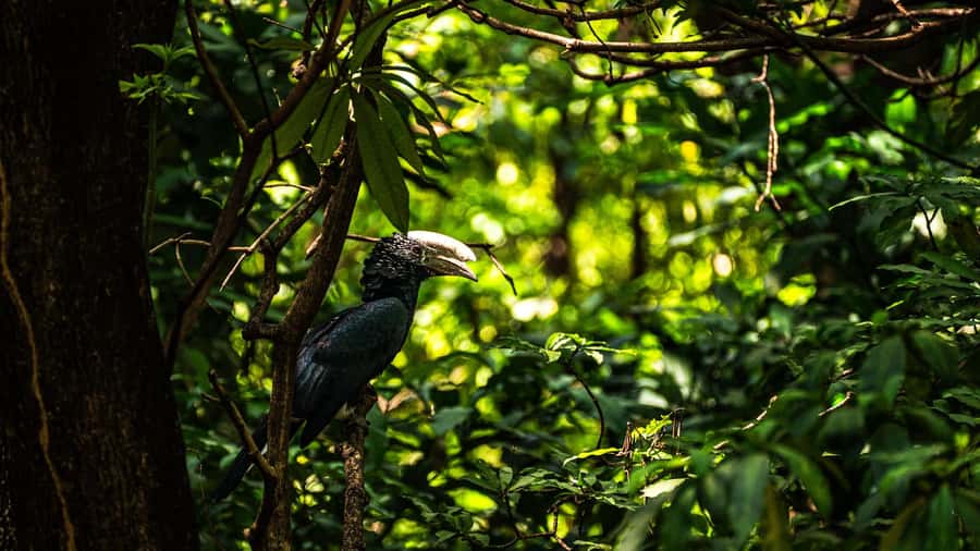 From Zanzibar: 5-Day All-Inclusive Northern Circuit Safari - Private touring helps, but the pace stays serious