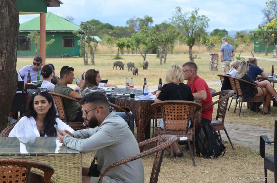 From Zanzibar: day Safari to Mikumi National Park - Key points to know before booking