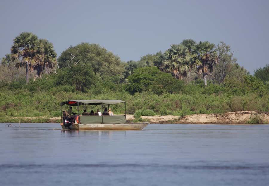 From Zanzibar: Day Safari to Selous Game Reserve with flight - The $480 question: is the package good value?