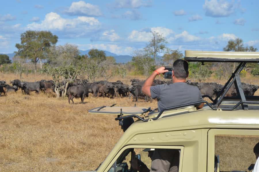 From Zanzibar: Day Safari to Selous Game Reserve with flight - The early pickup from your Zanzibar hotel