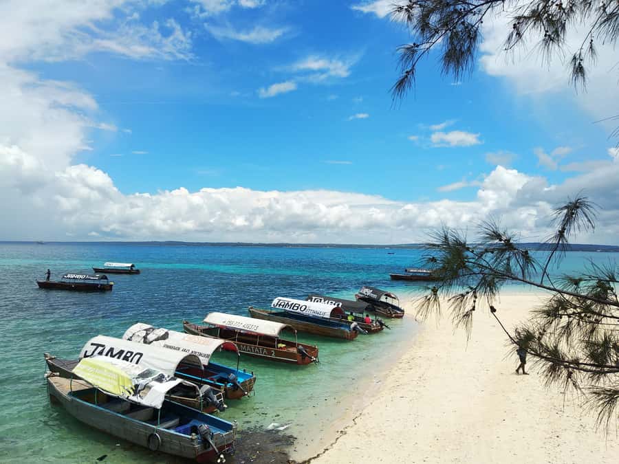 From Zanzibar: Half-Day Prison Island Tour - What the $78 Price Really Covers