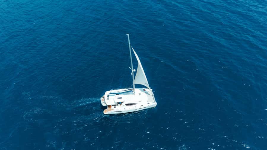 From Zanzibar: Half-Day Yacht Trip experience - Key details before you book