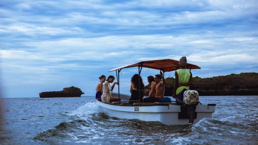from Zanzibar: Jozani Forest With Dolphin Tour - The Long Morning Ride From Zanzibar