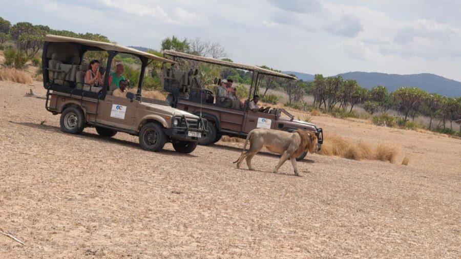 From Zanzibar: Mikumi Day Safari without hotel pickup - The $455 price and what it covers