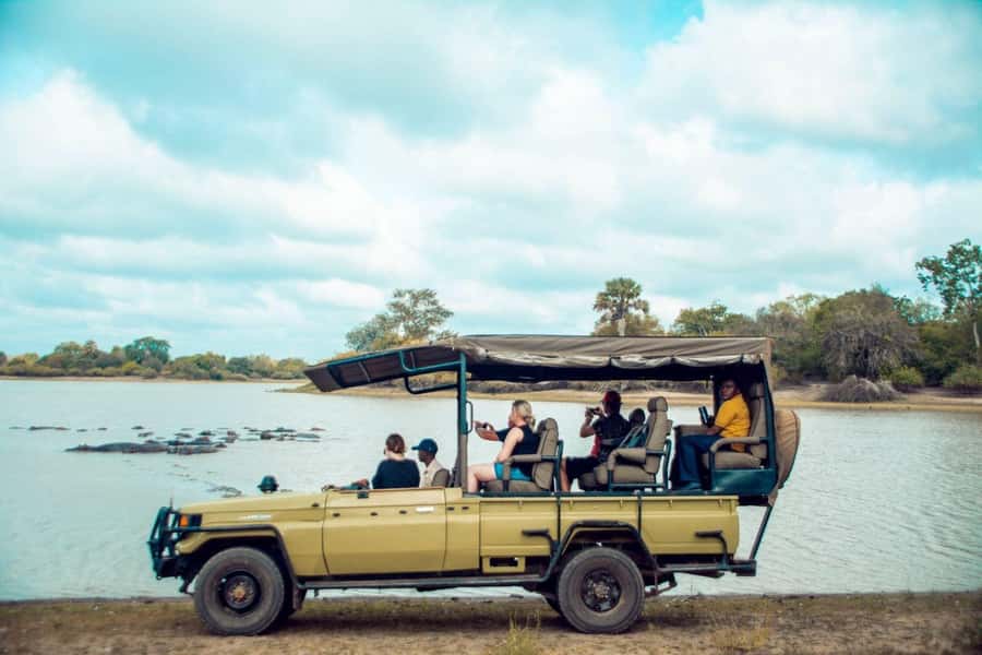 From Zanzibar: Mikumi Day Trip Safari By Flight. - Key points to know before booking