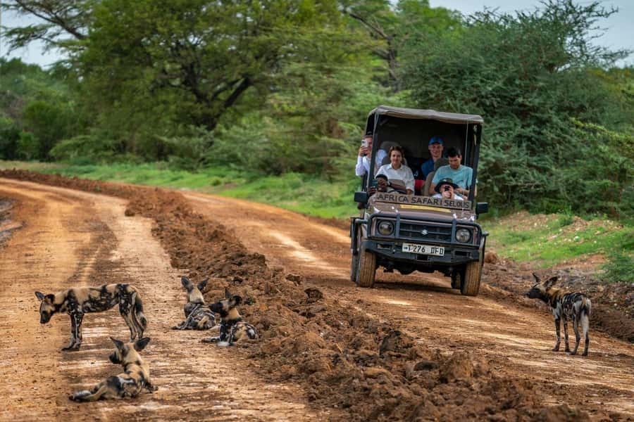 From Zanzibar: Mikumi Day Trip Safari By Flight. - The flight makes the mainland easy to reach