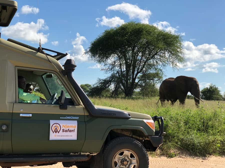From Zanzibar: Mikumi National Park Guided Safari - Key points at a glance