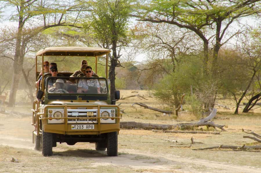 From Zanzibar: Mikumi National Park Guided Safari - What the $550 price really covers