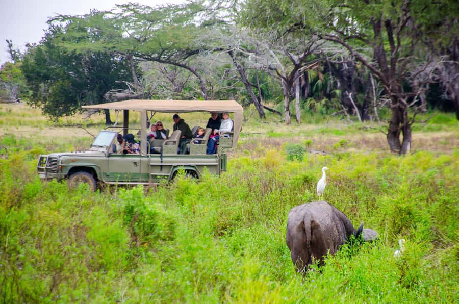 From Zanzibar: Mikumi National Park Guided Safari - Guide language, communication, and service