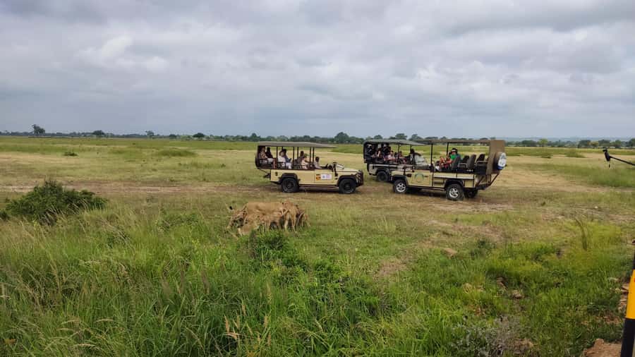 From Zanzibar: Mikumi National Park Guided Safari - How to prepare for the long day