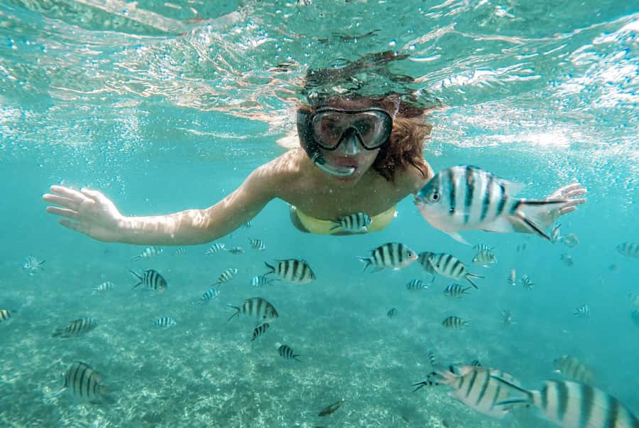 From Zanzibar: Mnemba Boat Tour with Snorkeling & Dolphine - Key points before you book