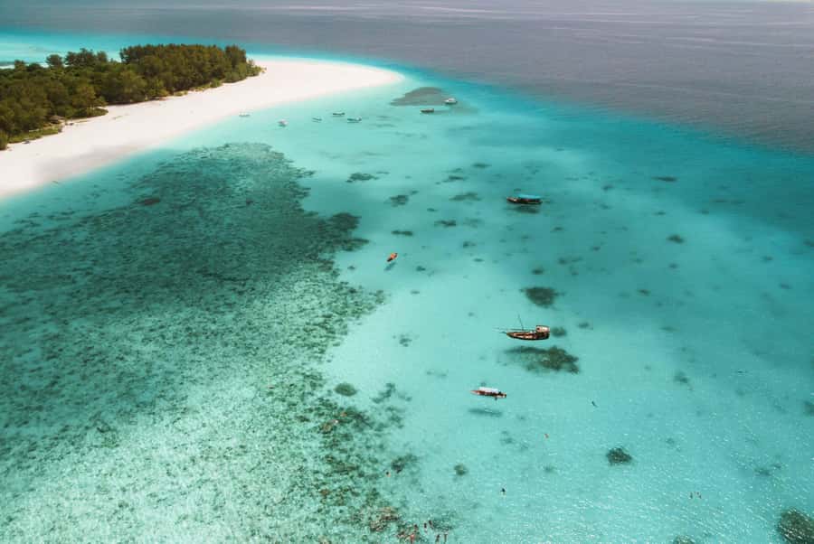 From Zanzibar: Mnemba Boat Tour with Snorkeling & Dolphine - Leaving Nungwi or Kendwa at 8:00 AM