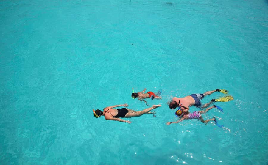 From Zanzibar: Mnemba Boat Tour with Snorkeling & Dolphine - Is $28 good value?
