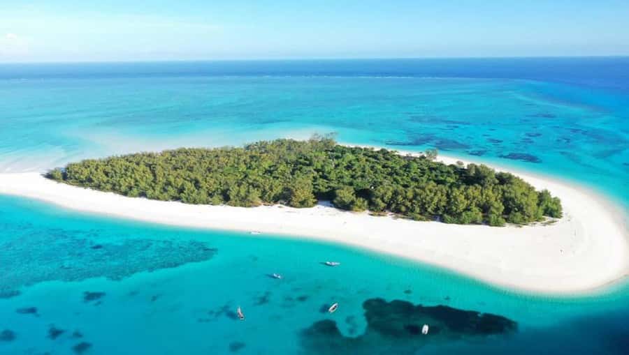 From Zanzibar: Mnemba Boat Trip Dolphins Adventure trip - An early start from Zanzibar to Matemwe