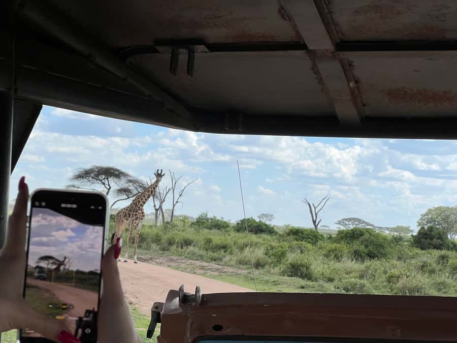From Zanzibar: Nyerere National Park Game Drive with Lunch - Bush lunch at about 1:30 PM