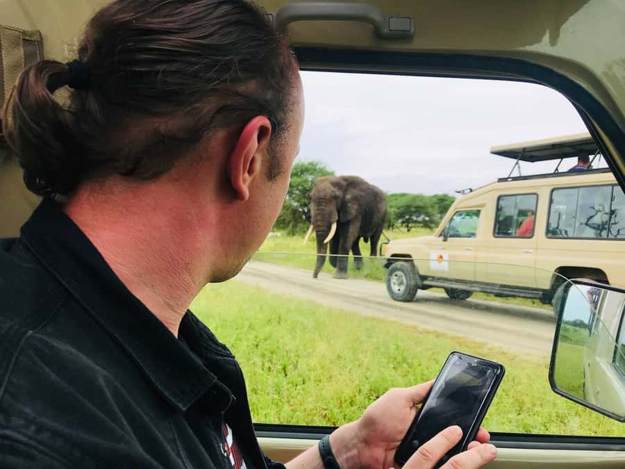 From Zanzibar: Nyerere National Park Game Drive with Lunch - Who should book this day trip?