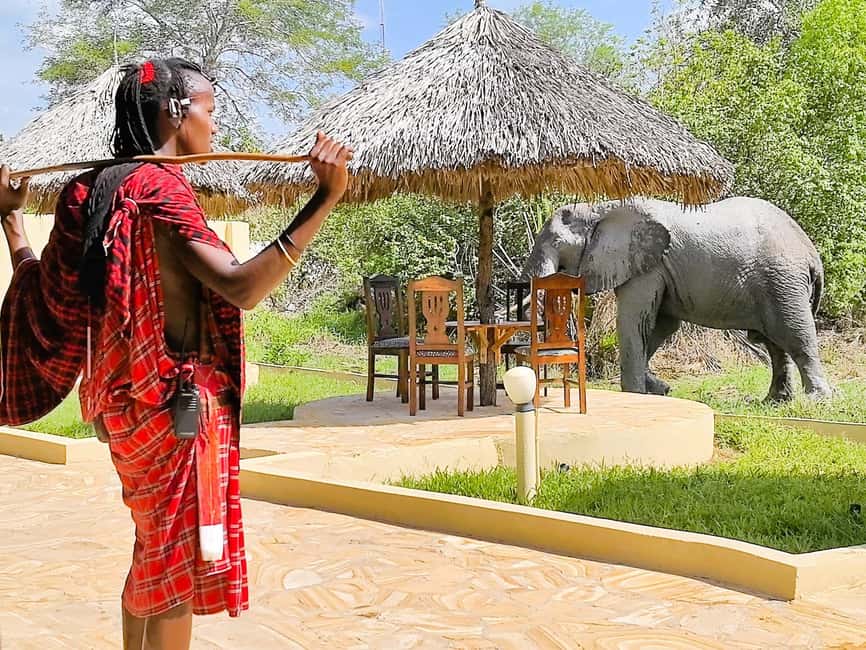 From Zanzibar: Overnight Selous G.R. Safari with Flights - Giraffes, elephants, lions, and the luck of the first drive