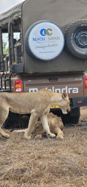 From Zanzibar: Overnight Selous G.R. Safari with Flights - What the $1,098 price really covers
