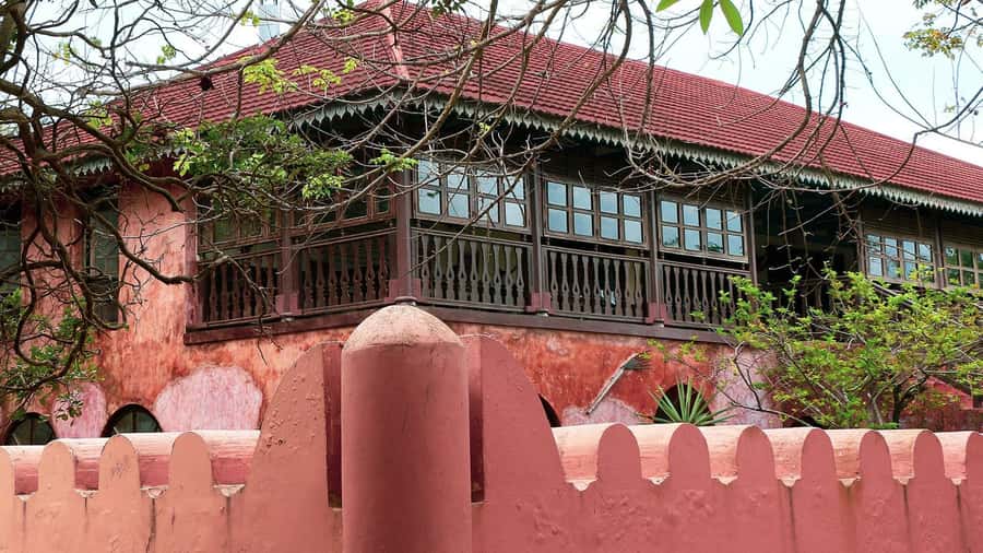 From Zanzibar: Prison Island With Nakupenda Tour - Should you book Prison Island and Nakupenda?