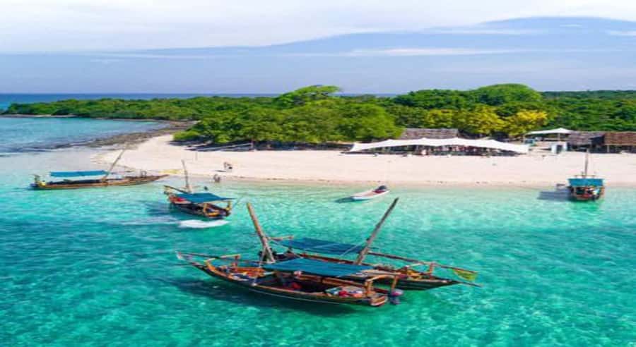 From Zanzibar: Safari Blue Snorkeling Trip with Lunch - Safari Blue at a glance