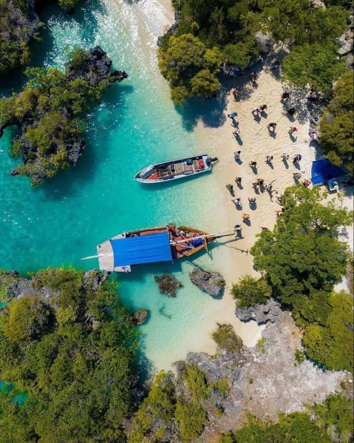 From Zanzibar: Safari Blue Snorkeling Trip with Lunch - Who should book this Zanzibar excursion?
